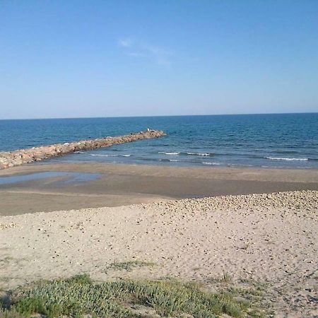 פרונטיניאן Flamants Roses 3 מראה חיצוני תמונה